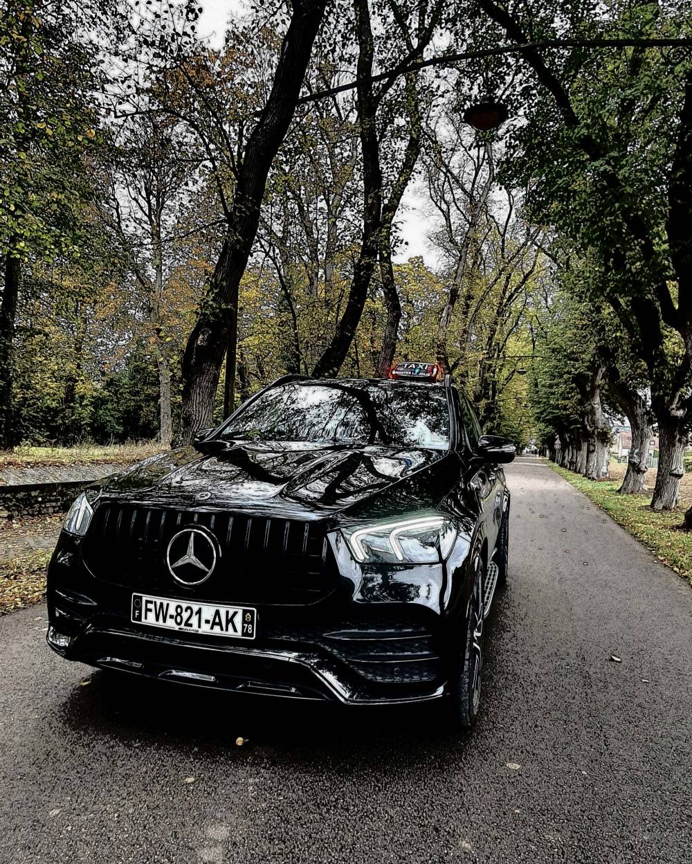 GLE 3.jpg